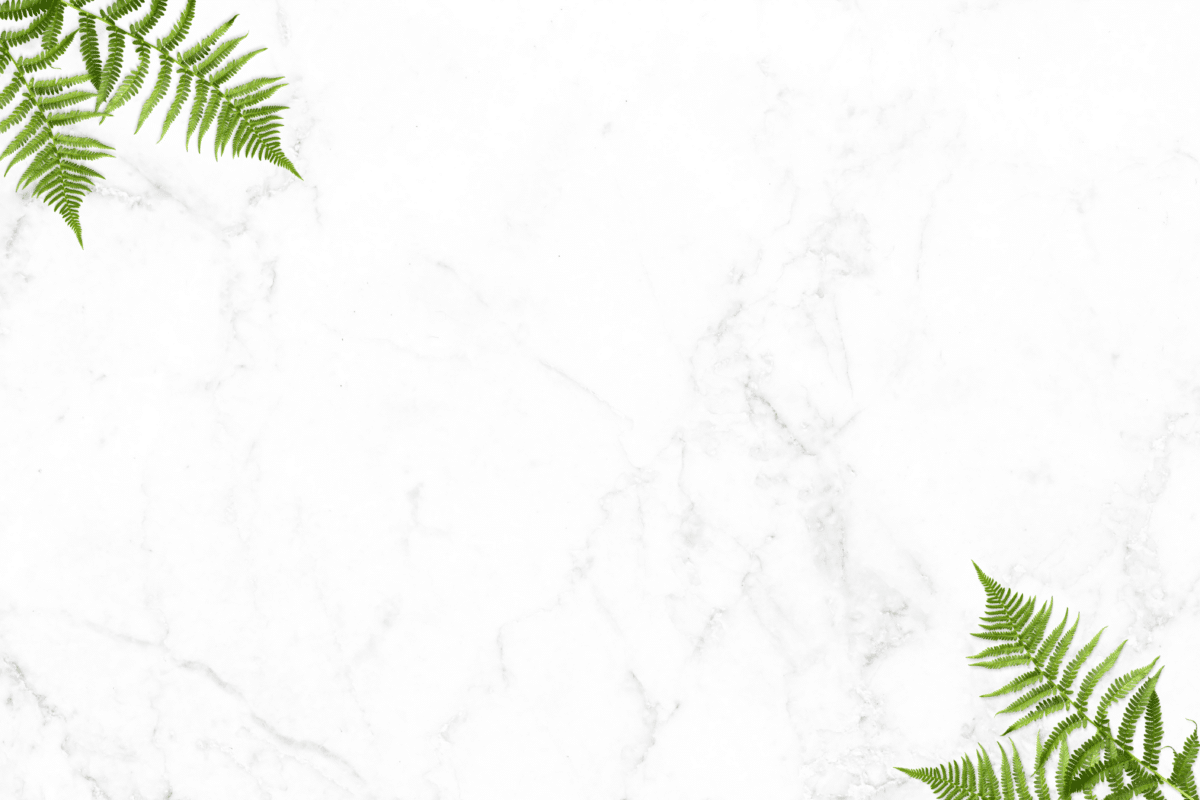 Vida Aesthetics Botox Madison WI | Fillers | Moxi Laser